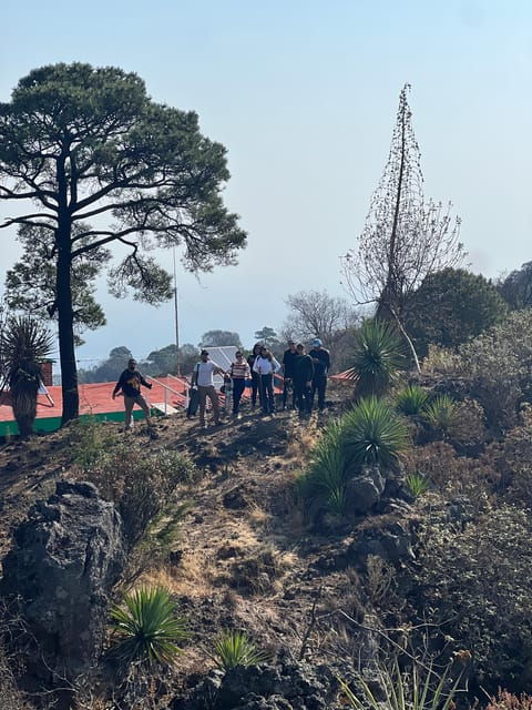 Mexico City Hiking Tour to the Extinct Volcano Xitle - Tour Overview