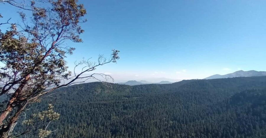 Mexico City: Morning Hiking at Mirador Coconetla - Activity Overview