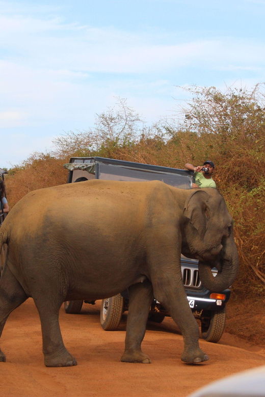 Minneriya: Private Jeep Safari From Trincomalee