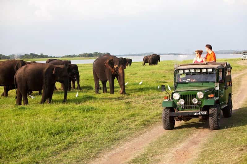 Minneriya:Jeep Safari From Habarana