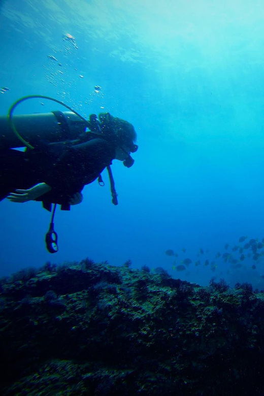 Morros De Potosi: Dive Into the Mysteries of the Night