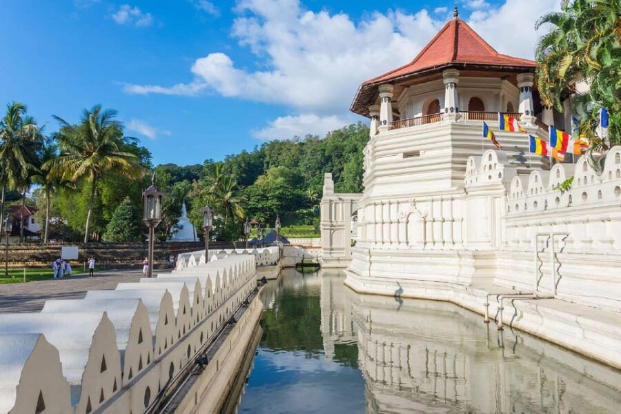 Negombo: Pinnawala & Kandy Day Tour With Tea Factory