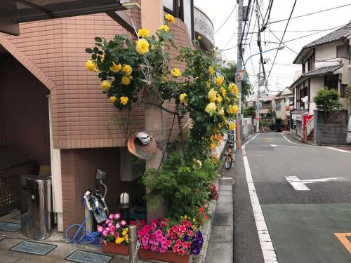 New Inn - 28 Square Meters 3-Person Japanese Style Walking Rice House - Guest Experiences