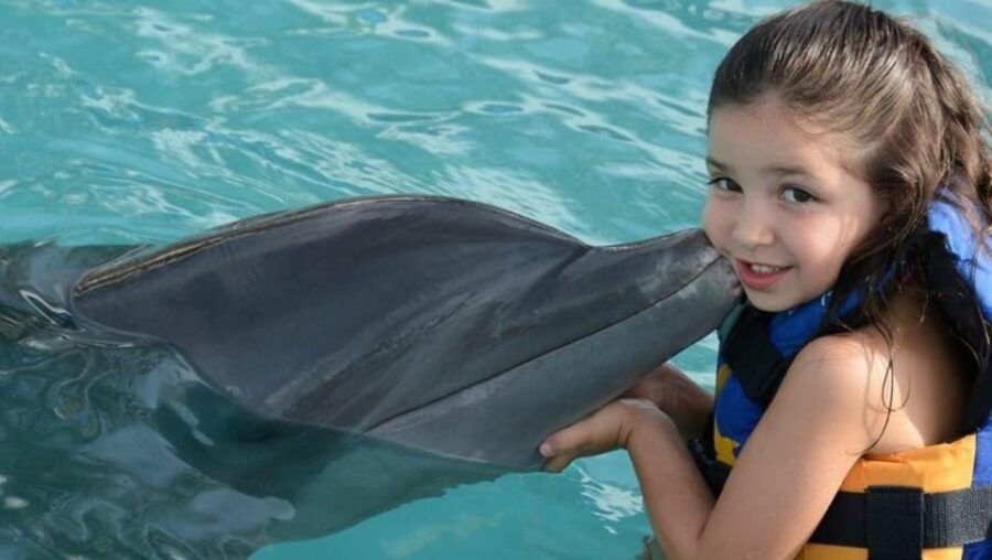 Nuevo Vallarta: Dolphin Encounter at Aquaventuras Park - Activity Overview