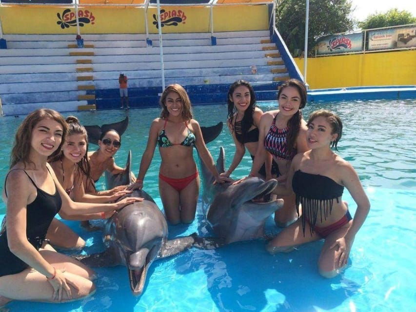 Nuevo Vallarta: Dolphin Experience at Splash Water Park
