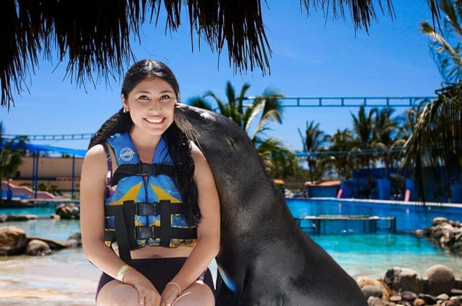 Nuevo Vallarta: Sea Lion Discovery at Aquaventuras Park - Aquaventuras Park Overview
