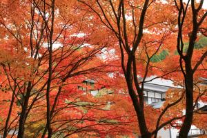 Nukumorino-yado Komanoyu - Property Overview