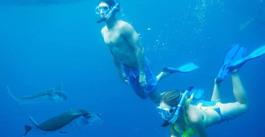 Nusa Penida Private Manta Point Snorkeling And Land Tour - Tour Overview and Pricing