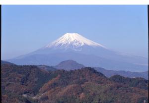 Ohito Hotel - Hotel Overview