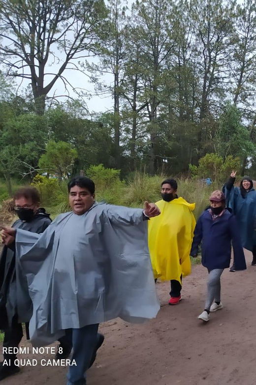 One Day Tour From Mexico City to Firefly Sanctuary - Tour Overview and Pricing