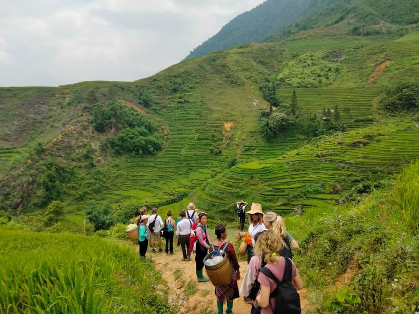 ONE DAY TREKKING MUONG HOA VALLEY - Tour Overview