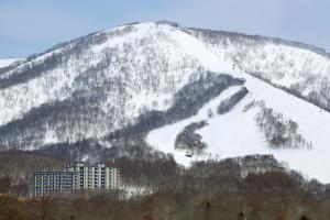 One Niseko Resort Towers - Good To Know