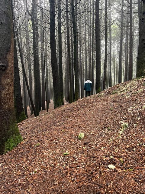 Otomí Ceremonial Center Daytrip - Overview of the Daytrip