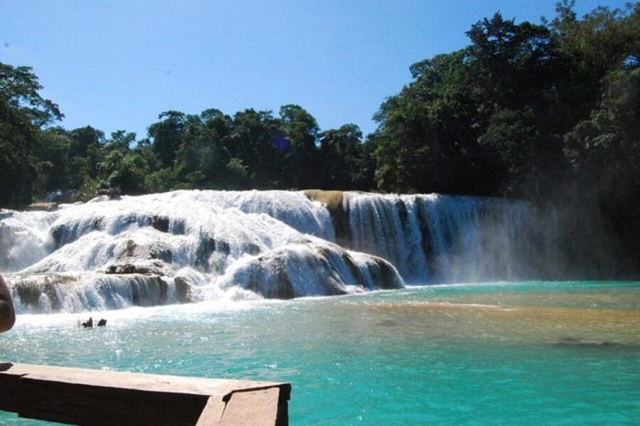 Palenque: Blue Water and Misol – Ha Tour - Tour Overview