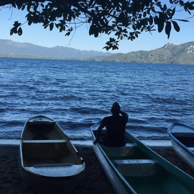 Palenque: Catazajá Lagoon Wildlife Adventure - Overview and Pricing