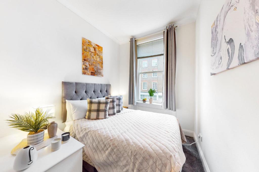 Park Lane Apartments Marble Arch - Property Overview
