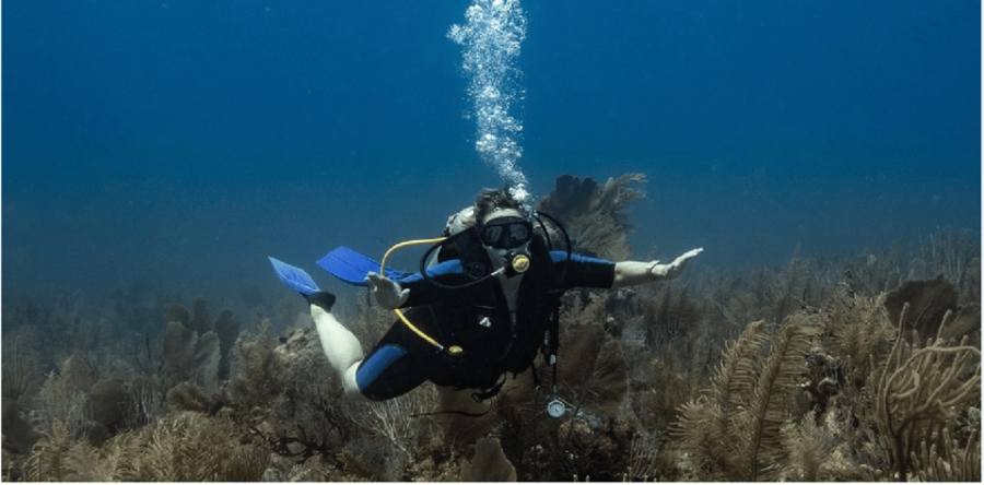 Playa Del Carmen: Discover Scuba Diving