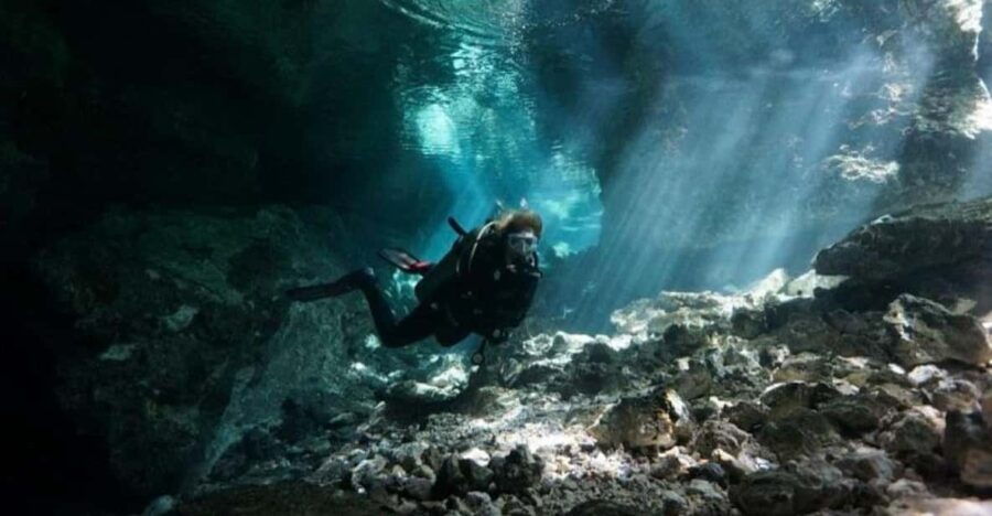 Playa Del Carmen: Guided Cenote Diving Adventure - Activity Overview