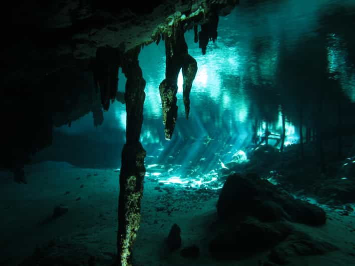 Playa Del Carmen: Mind-Blowing Diving @ Cenote Dos Ojos
