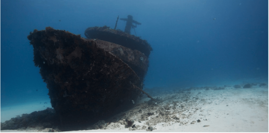 Playa Del Carmen: Ocean Dive Tour