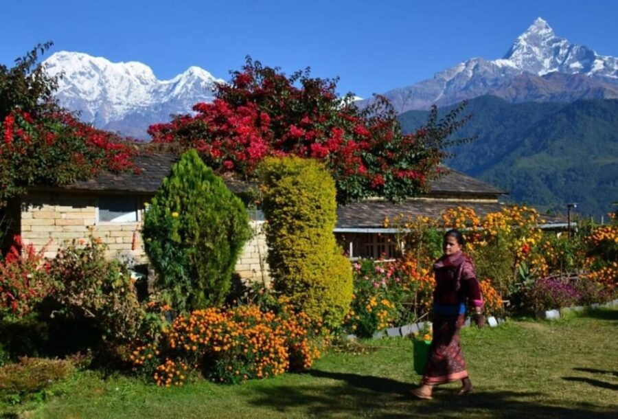 Pokhara: Dhampus Village Car Tour for Scenic Himalayas
