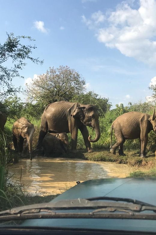 Polonnaruwa Day Tour From Kandy (Private Tour With Lunch)
