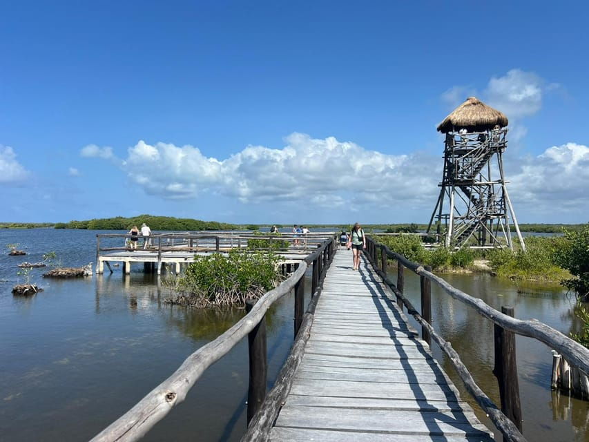 Private All Inclusive Jeep Tour at Cozumel & Punta Sur Park