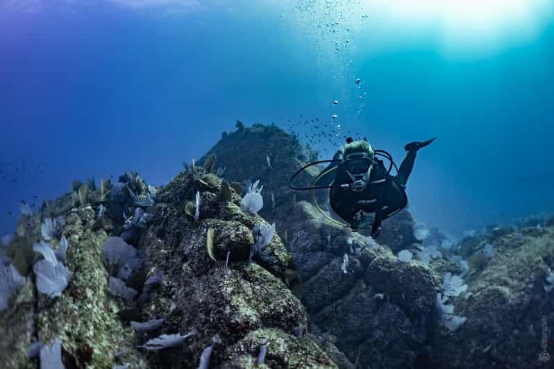 Private Guide Certified Divers Cabo San Lucas Marine Reserve - Activity Overview