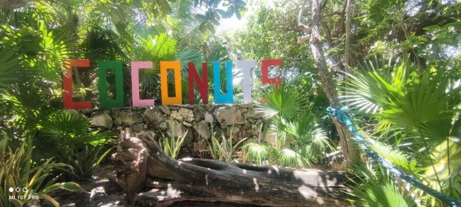 Private Tacos and Bar Hop Tour in Cozumel - Tour Overview