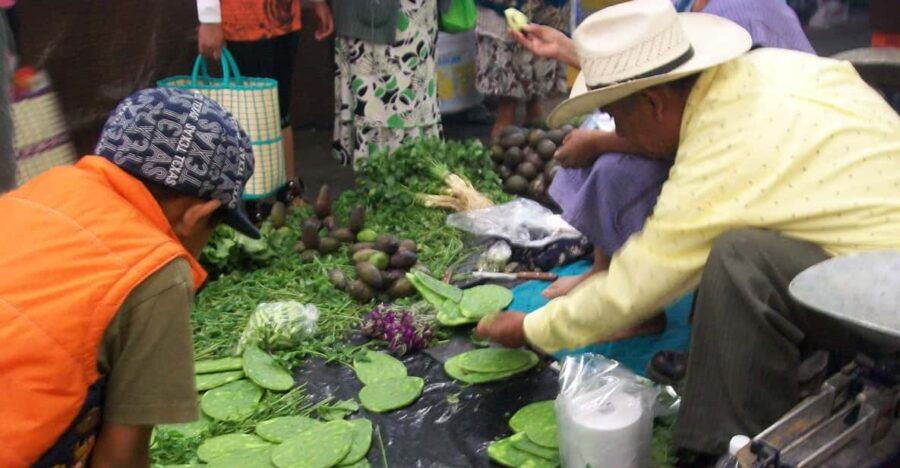 Puebla: 5-Hour Culinary Tour With Tastings - Tour Overview