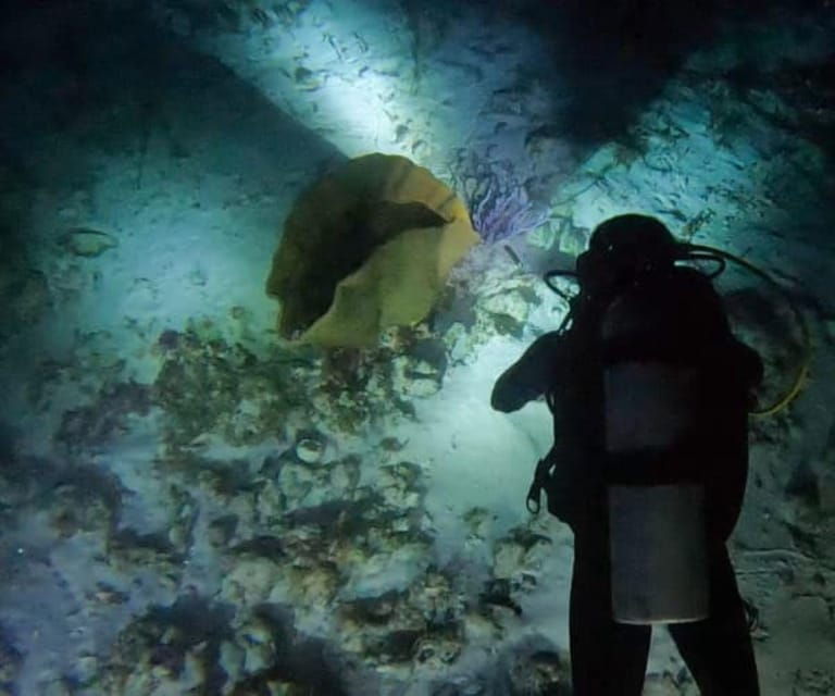 Puerto Morelos: Night Dive at Ojo De Agua Reef - Activity Overview