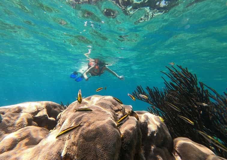 Puerto Morelos: Reef Snorkeling Tour, Snack and Transport - Experience Highlights