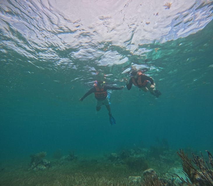 Puerto Morelos: Snorkel and Boat Ride at Puerto Morelos Reef - Activity Overview