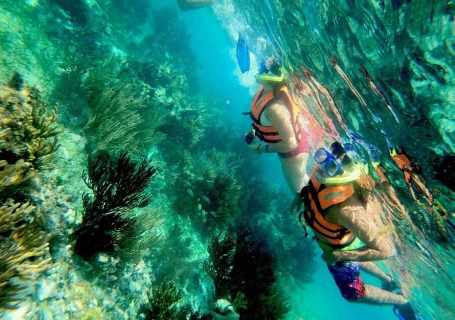 Puerto Morelos: Snorkel in Coral Reef and Visit the Town