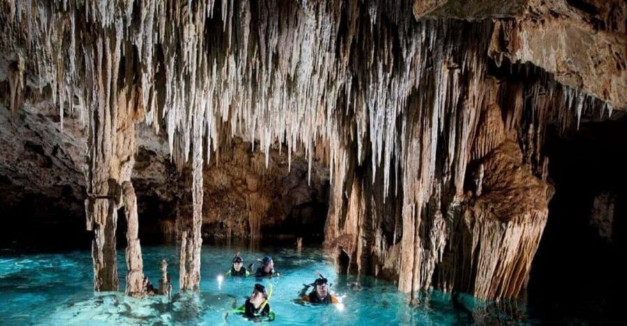 Puerto Morelos: Snorkeling In Cenotes - Overview and Pricing