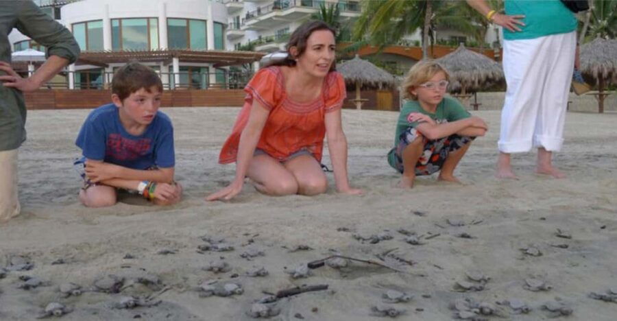 Puerto Vallarta: Baby Sea Turtle Release