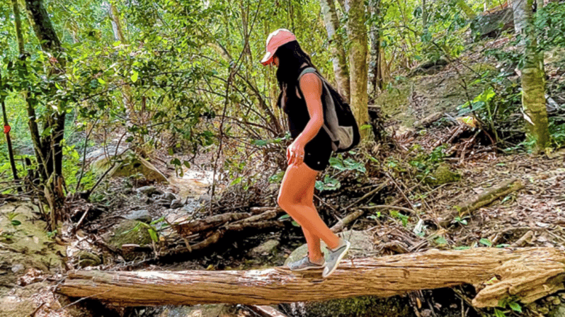 Puerto Vallarta: Hiking and Entrance to the Botanical Garden - Activity Overview