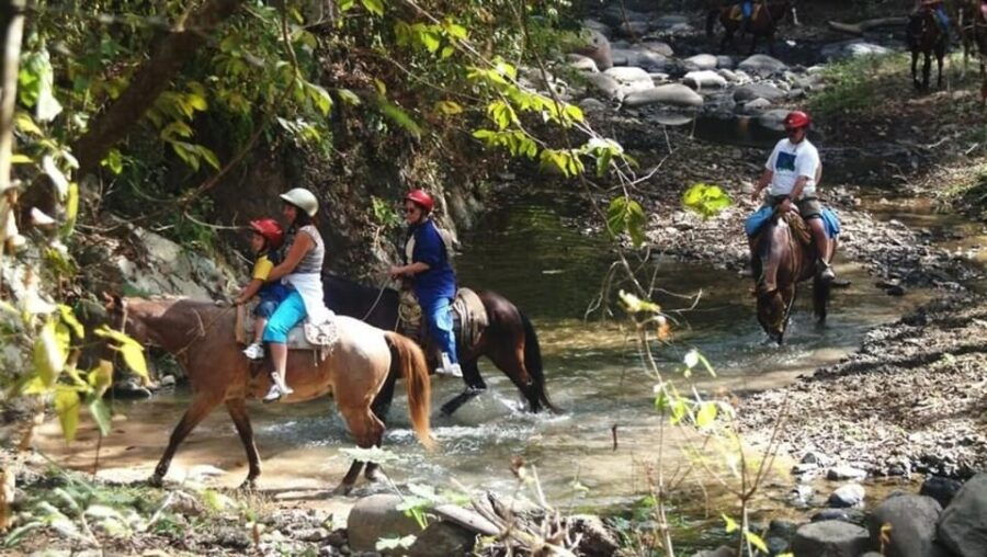 Puerto Vallarta: Horseback Riding at Hacienda Doña Engracia - Activity Overview