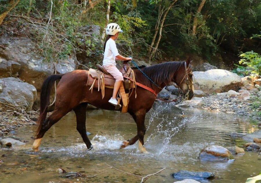 Puerto Vallarta: Horseback Riding + Jorullo Bridge Pass - Activity Overview