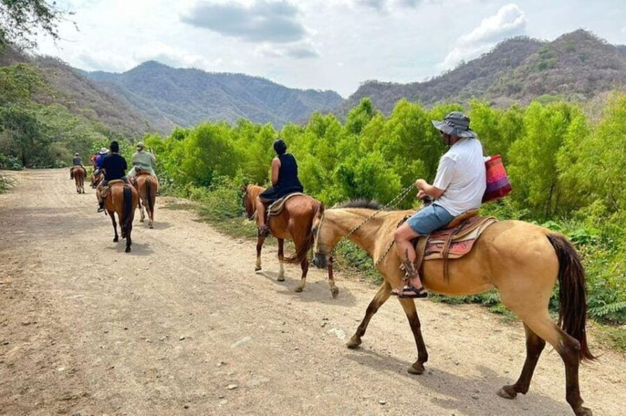 Puerto Vallarta: Horseback Riding, Tequila Tasting, Mex BBQ - Activity Overview