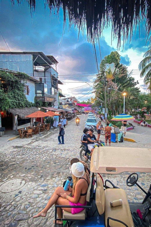 Puerto Vallarta: Sayulita and San Pancho Day Trip - Exploring Riviera Nayarits Charming Towns