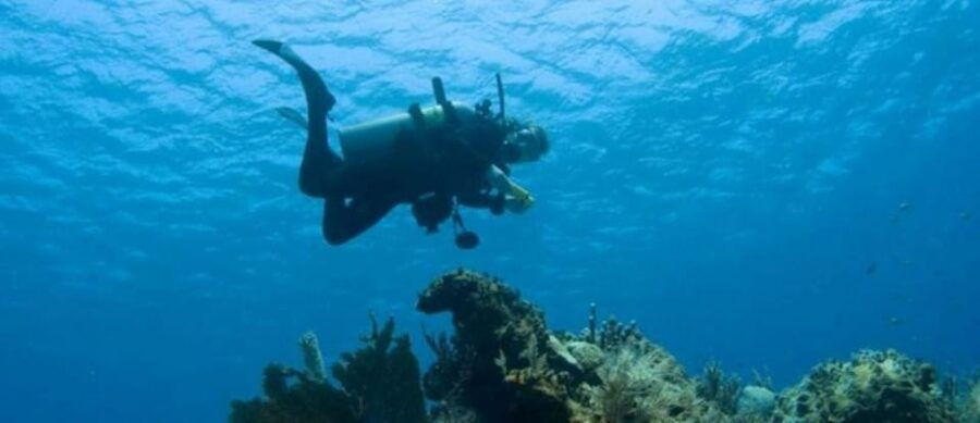 Puerto Vallarta: Scuba Dive at Los Arcos - Activity Overview