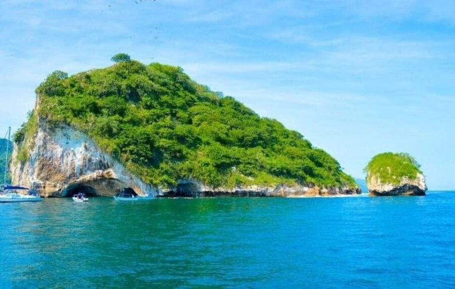 Puerto Vallarta: The Predator of the Sea