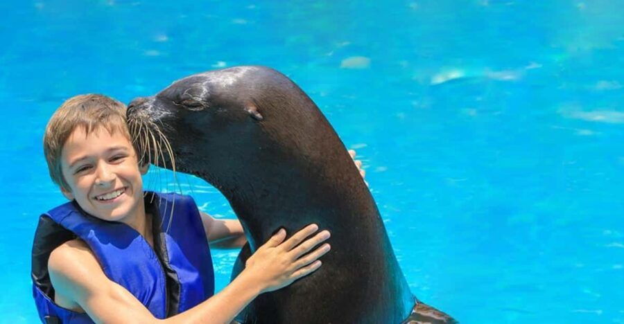 Puerto Vallarta: Unforgettable Sea Lion Encounter