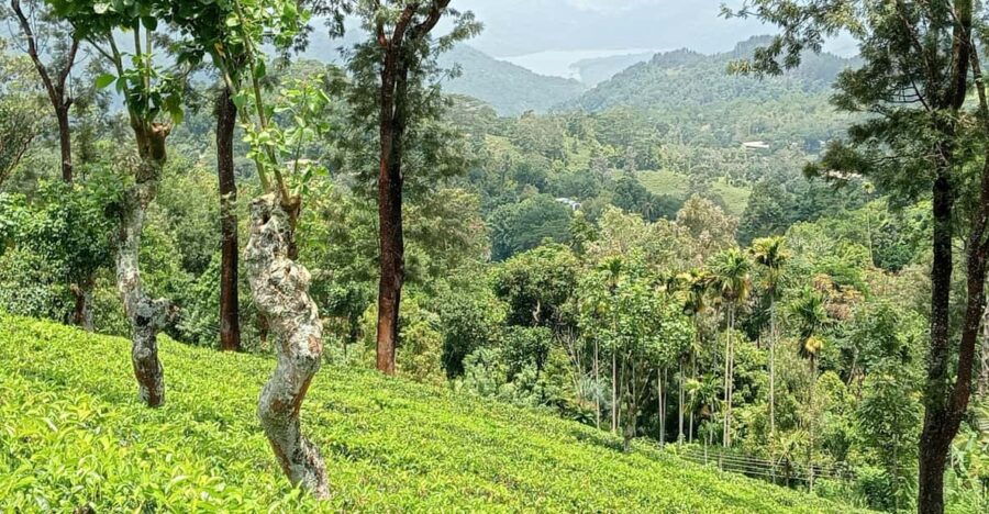 Rangala: Hiking, Camping, and Waterfall Adventure