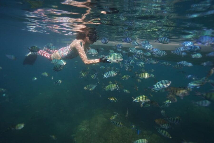 Red River Tour - Snorkeling Day Tour 2 Islets in Phu Quoc - Tour Overview