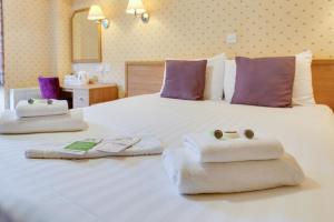 Regina Hotel - Hotel Location and Surroundings