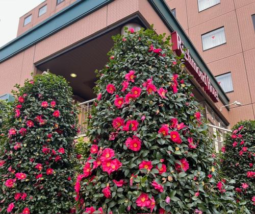 Richmond Hotel Tokyo Musashino - Hotel Overview and Location