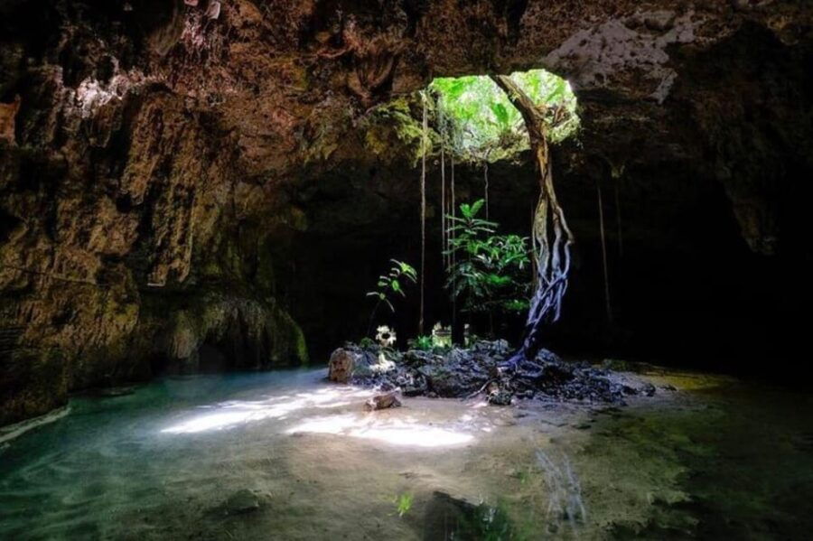 Riviera Maya: Discover Two Unique Cenotes