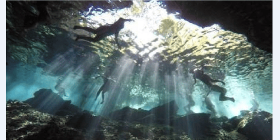 Riviera Maya: Snorkel Cenotes